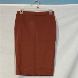 Body by Victoria Elegant Brown Skirt with Zipper back